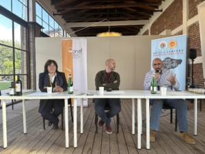 Masterclass formaggi