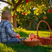 La Dieta Mediterranea è salutare ma in quanti la seguono?