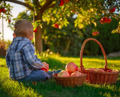 La Dieta Mediterranea è salutare ma in quanti la seguono?