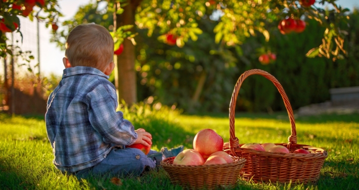 La Dieta Mediterranea è salutare ma in quanti la seguono?