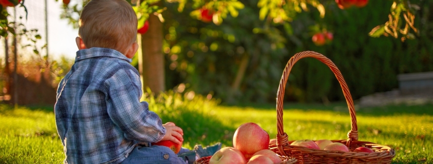 La Dieta Mediterranea è salutare ma in quanti la seguono?
